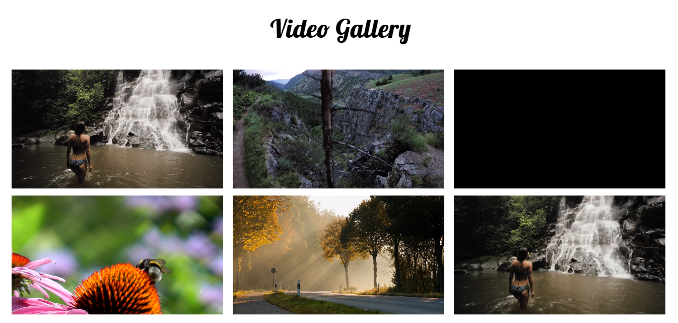 video-gallery-view
